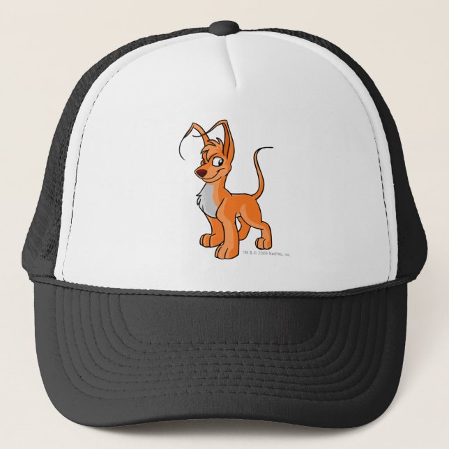 Casquette Orange de Gelert (Devant)