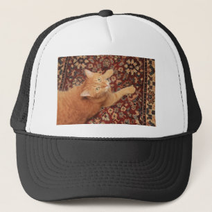 Casquette Orange Tabby