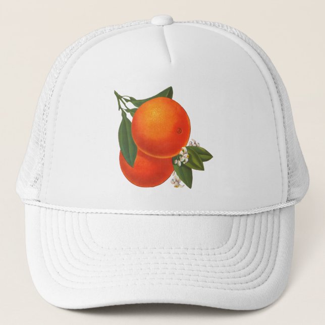 Casquette Oranges Vintage (Devant)