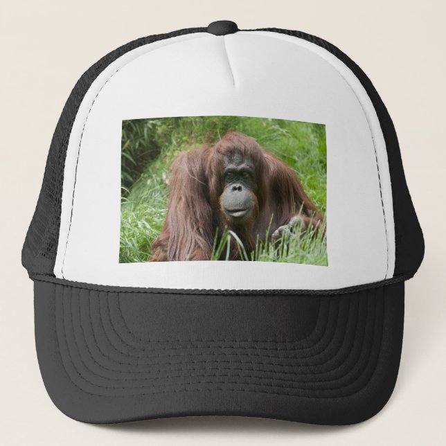 Casquette Orangoutan (Devant)
