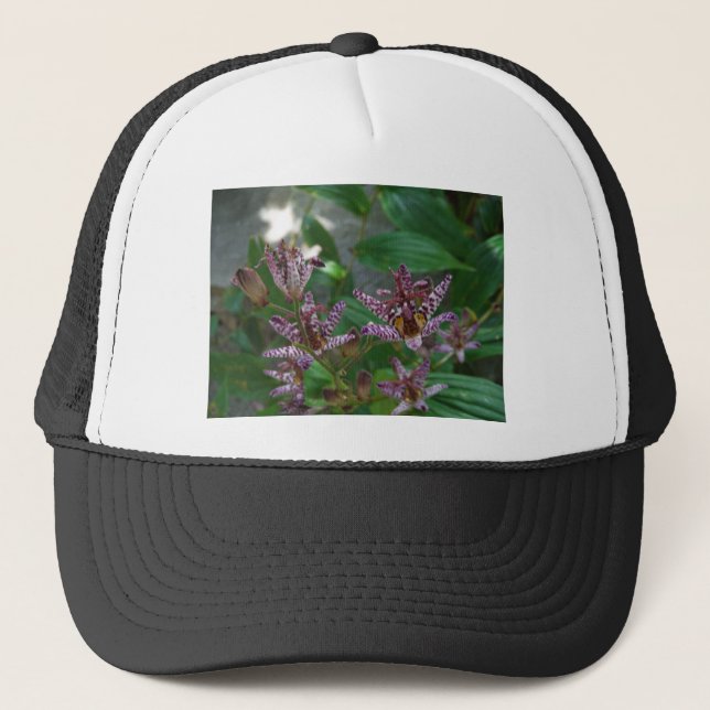 Casquette Orchidée blanche rayée violette rose comme lys de  (Devant)
