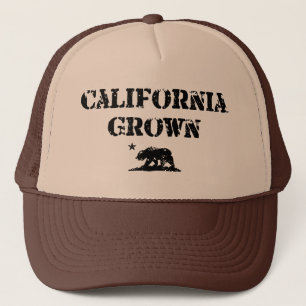 Casquette Ours développé par Californie