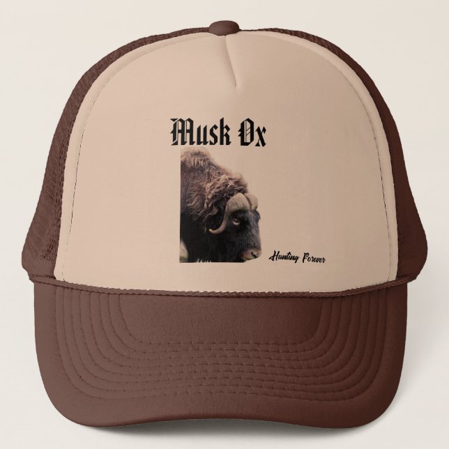 Casquette Ox musqué (Devant)