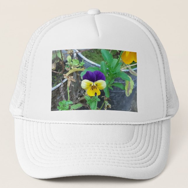 Casquette Pansy pourpre et jaune (Devant)