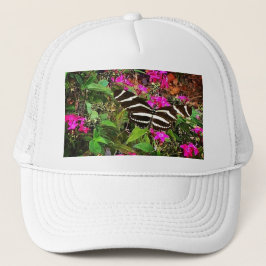 Casquette Papillon à aile longue Zebra