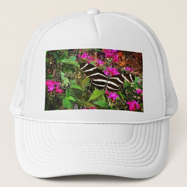 Casquette Papillon à aile longue Zebra (Devant)