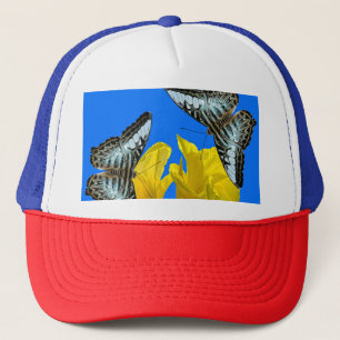 Casquette Papillons à clipper bleu malaisien sur Canna King