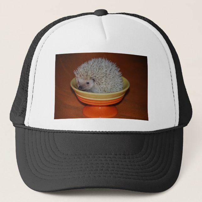 Casquette Parfait de hérisson (Devant)