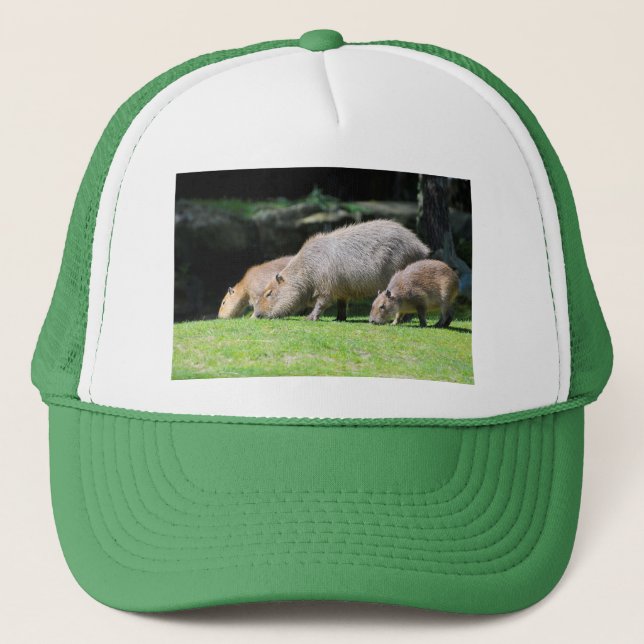 Casquette Pâturage de Capybaras (Devant)