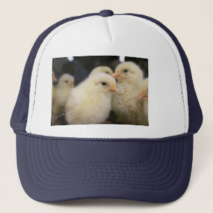 Casquette Peeps