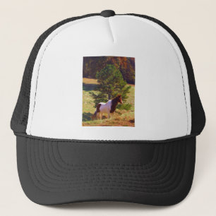 Casquette Peint Poney par le pin