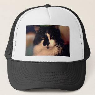 Casquette Peinture de couleur