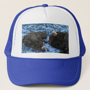 Casquette Pélicans Sur Les Rochers De Mer,