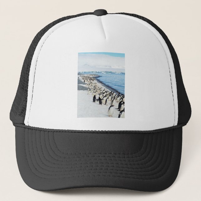 Casquette Pengiuns sur la plage (Devant)