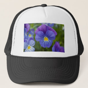 Casquette Pensée pourpre