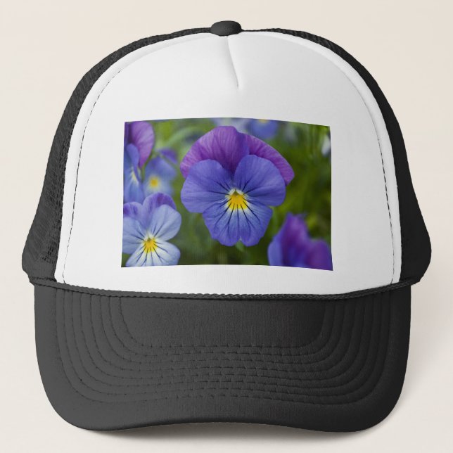 Casquette Pensée pourpre (Devant)