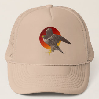 Casquette Perigrine Sun