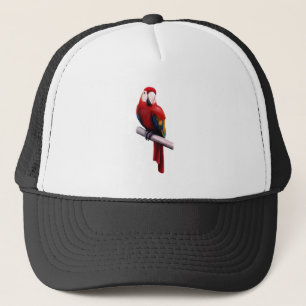 Casquette Perroquet