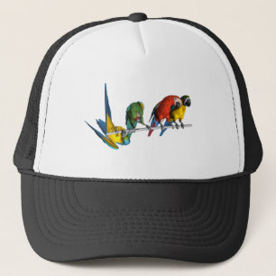 Casquette Perroquet d'ara