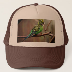 Casquette Perruque de tigre