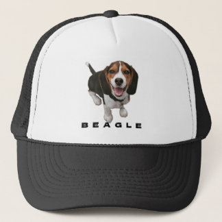 Casquette Petit beagle