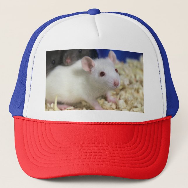 Casquette Petit rat (Devant)