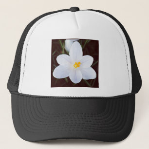 Casquette Photo carré - Crocus Blanc