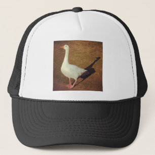 Casquette Photo Carré - Goose