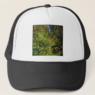 Casquette Photo carré - Magnolia Bush 02