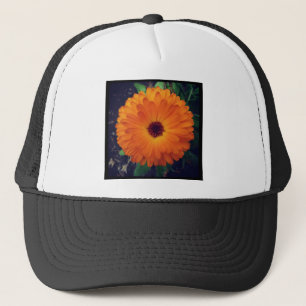 Casquette Photo carré - Marigold