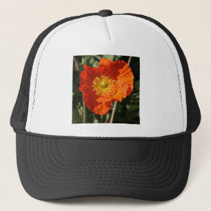 Casquette Photo carré - Orange Poppy