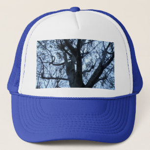 Casquette photo Silhouette Arbre