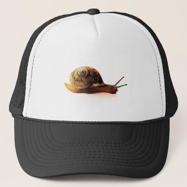 Casquette Photographie de la nature d'un escargot de jardin (Devant)