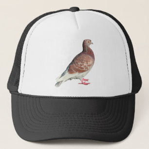 Casquette Pigeon rouge (isolé)
