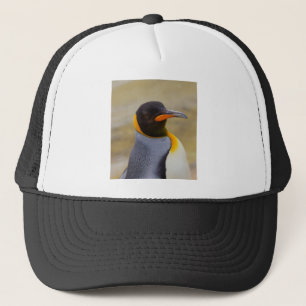 Casquette Pingouin d'empereur