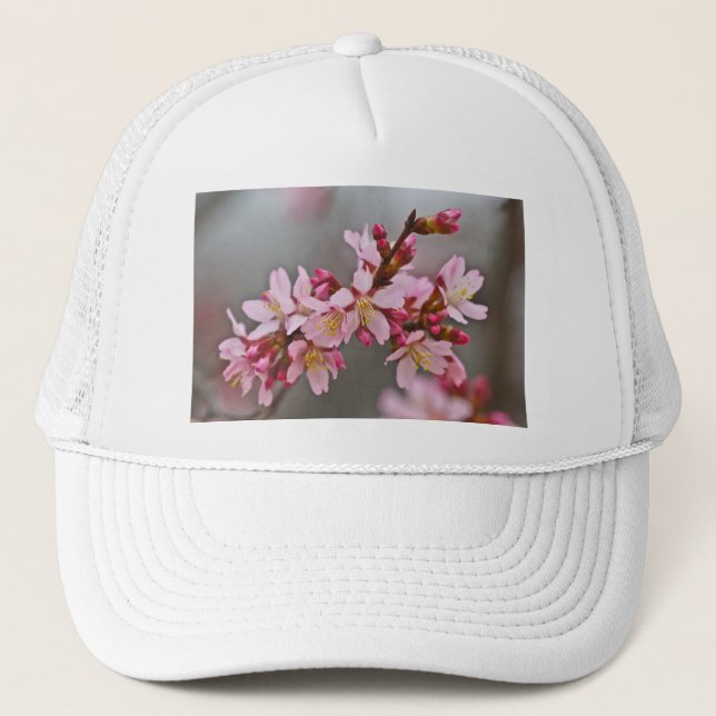 Casquette Pink Against A Gray Sky Japanese Cherry Blossoms (Devant)