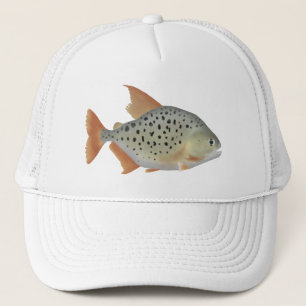 Casquette Piranha en marbre