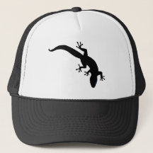 Plan blanc GECKO