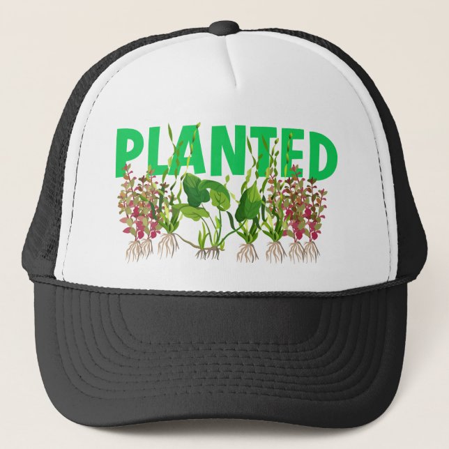 CASQUETTE PLANTÉ (Devant)