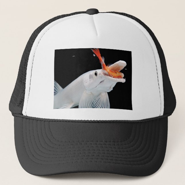 Casquette “Platinum Alligator Gar Pike”の優良製品 (Devant)
