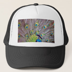 Casquette Plumes d'oiseau de paon
