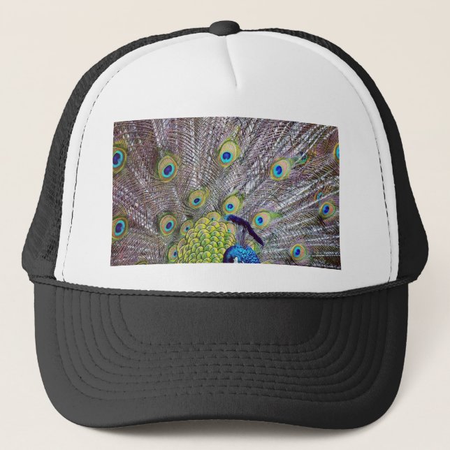 Casquette Plumes d'oiseau de paon (Devant)