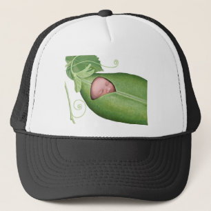 Casquette Pod