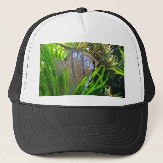 Casquette Poisson Angel (Devant)