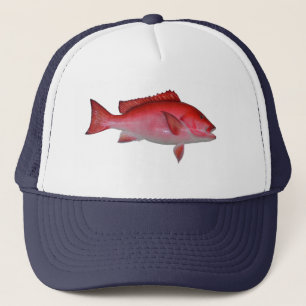 Casquette Poissons de vivaneau
