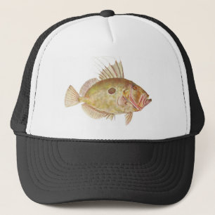 Casquette Poissons - doris de John - Zeus Faber