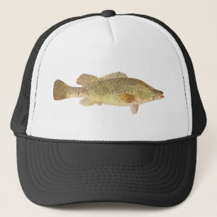Casquette Poissons - morue de Murray - macquariensis de