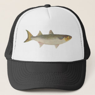 Casquette Poissons - mulet de mer - dobula de mugil
