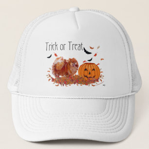 Casquette Pomeranian Halloween