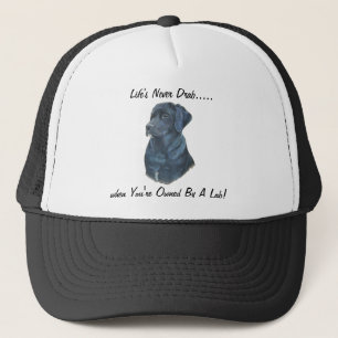 Casquette portrait de black labrador dog